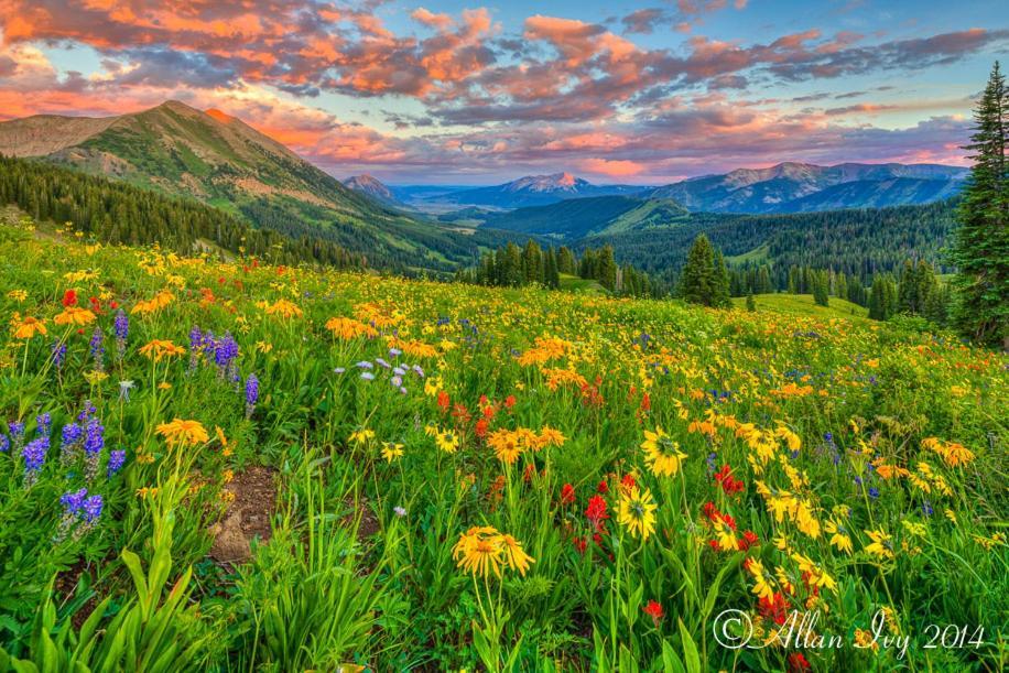 Alpine Inn & Suites Gunnison Luaran gambar